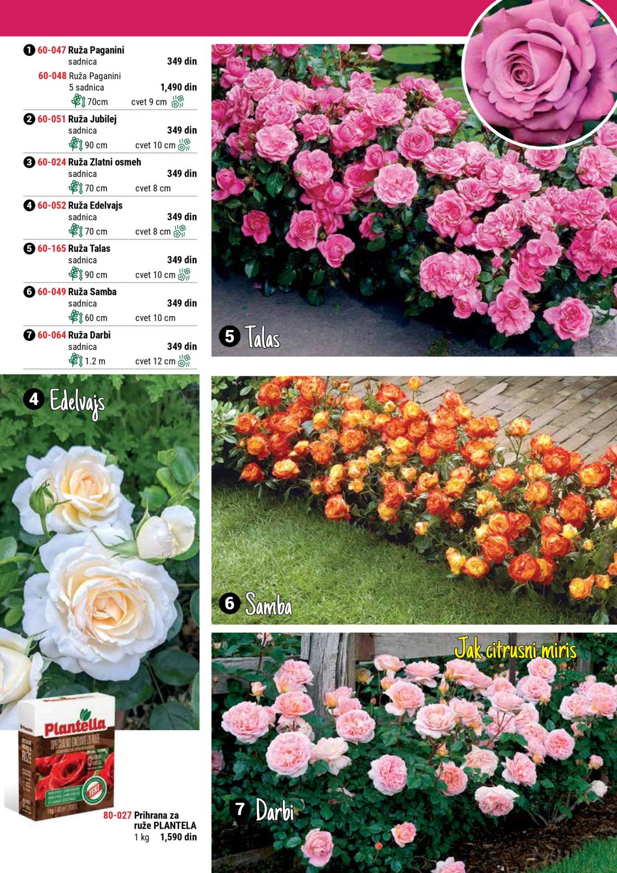 Flora Ekspres katalog. Stranica 1