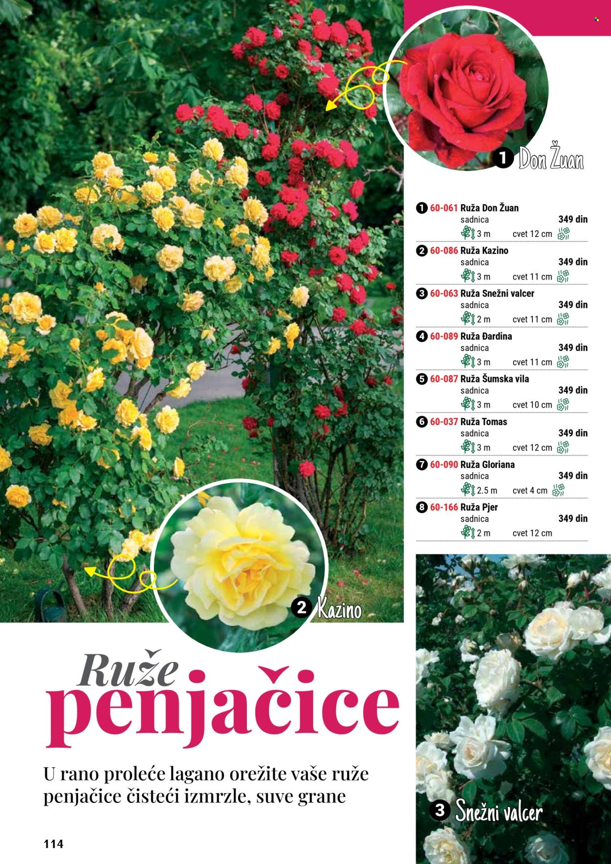 Flora Ekspres katalog. Stranica 1