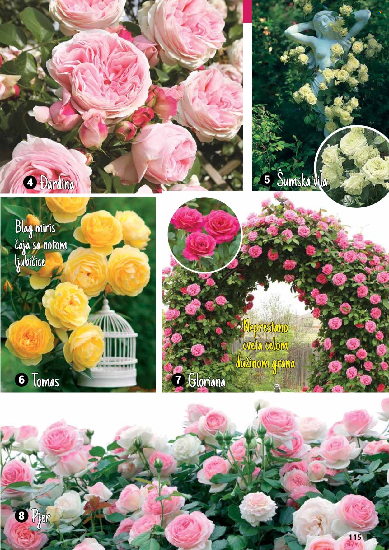 Flora Ekspres katalog. Stranica 1