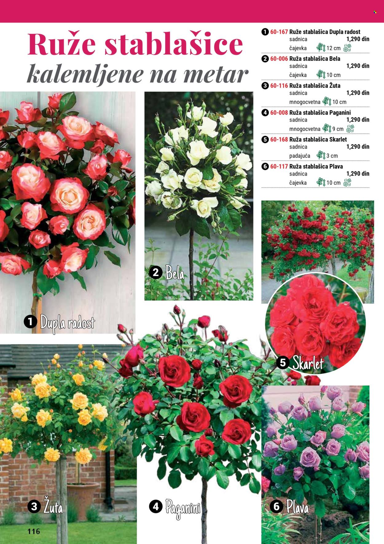 Flora Ekspres katalog. Stranica 1