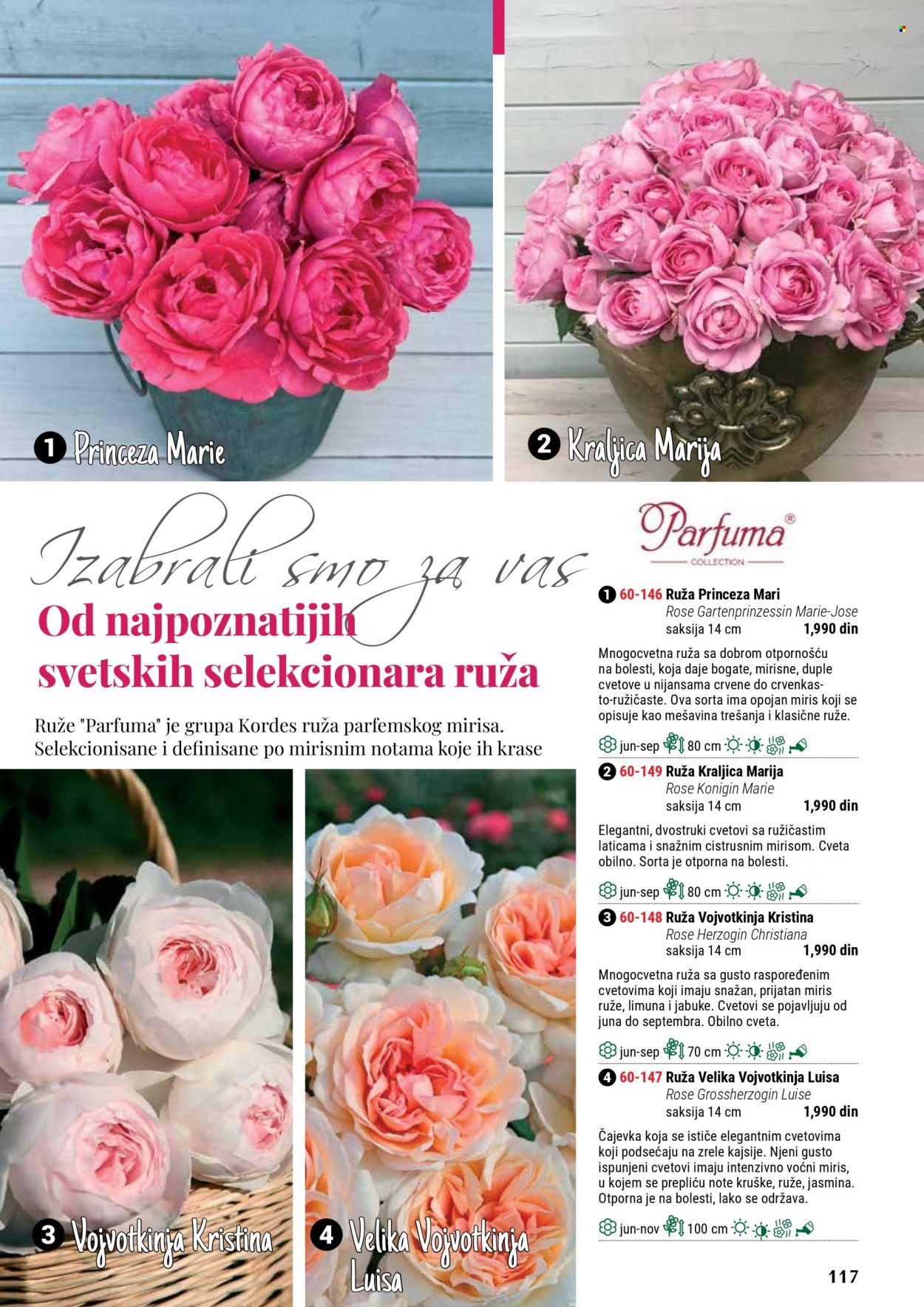 Flora Ekspres katalog. Stranica 1