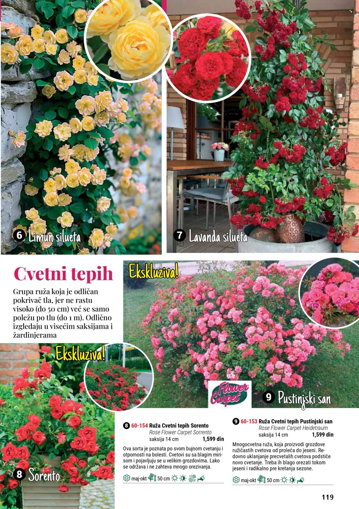 Flora Ekspres katalog. Stranica 1