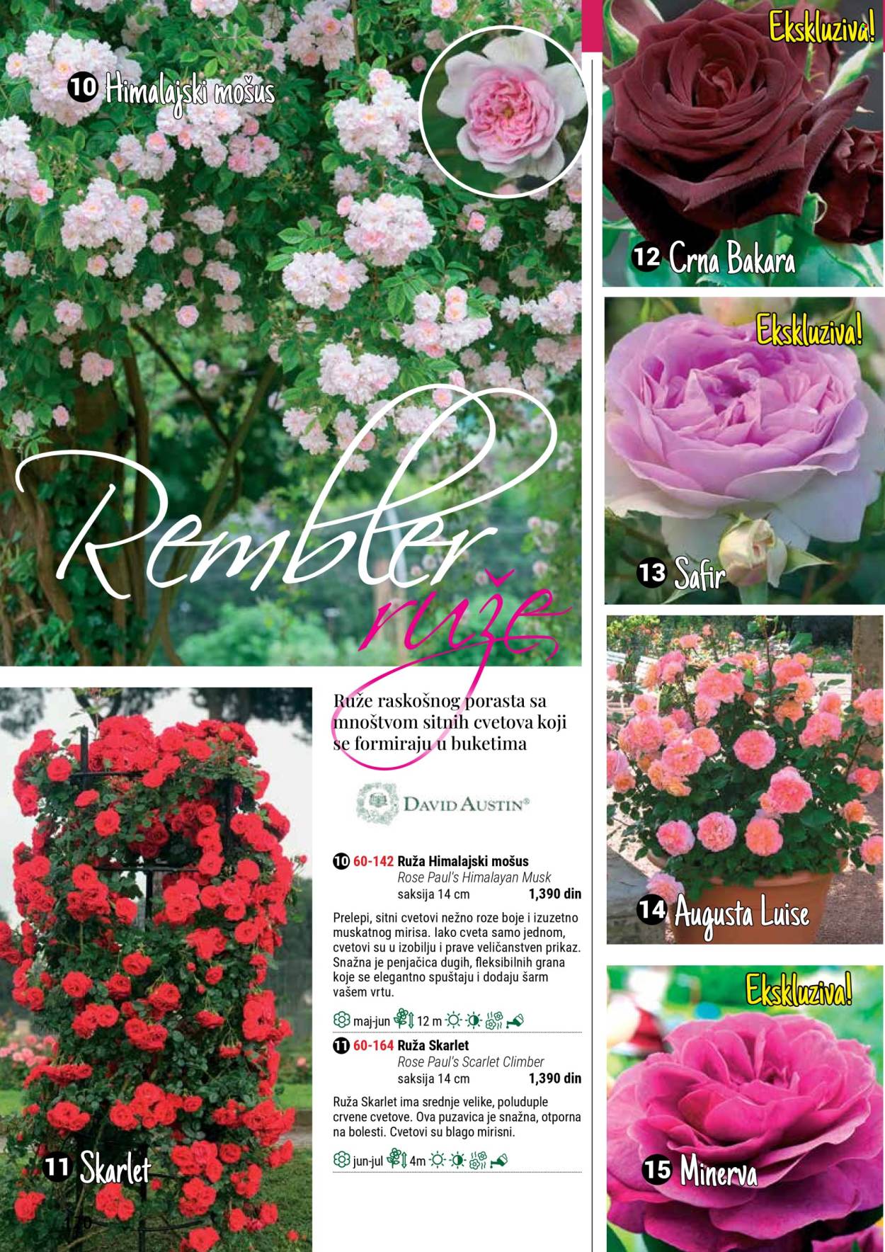 Flora Ekspres katalog. Stranica 1