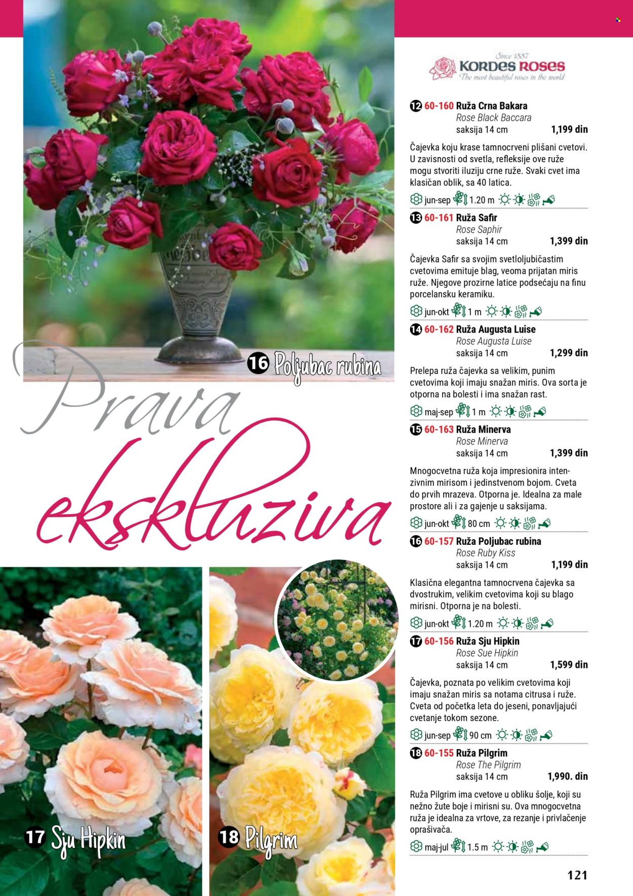 Flora Ekspres katalog. Stranica 1