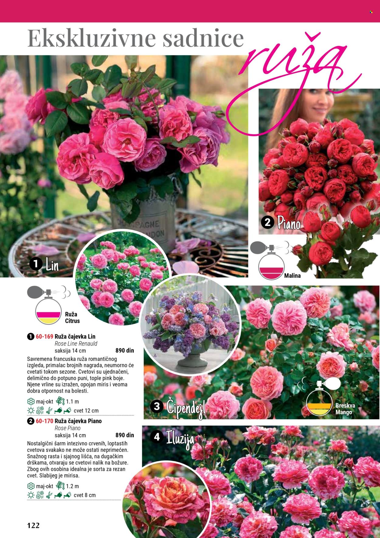 Flora Ekspres katalog. Stranica 1