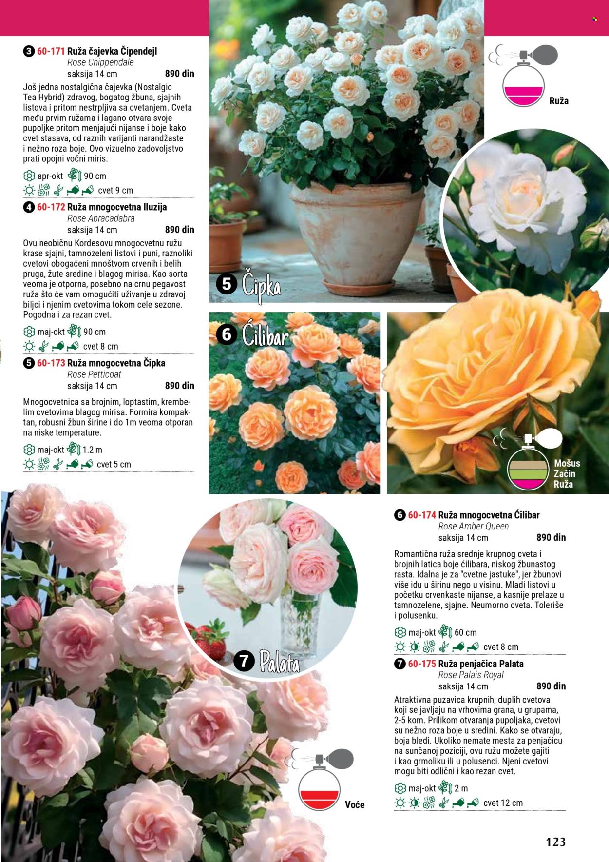 Flora Ekspres katalog. Stranica 1
