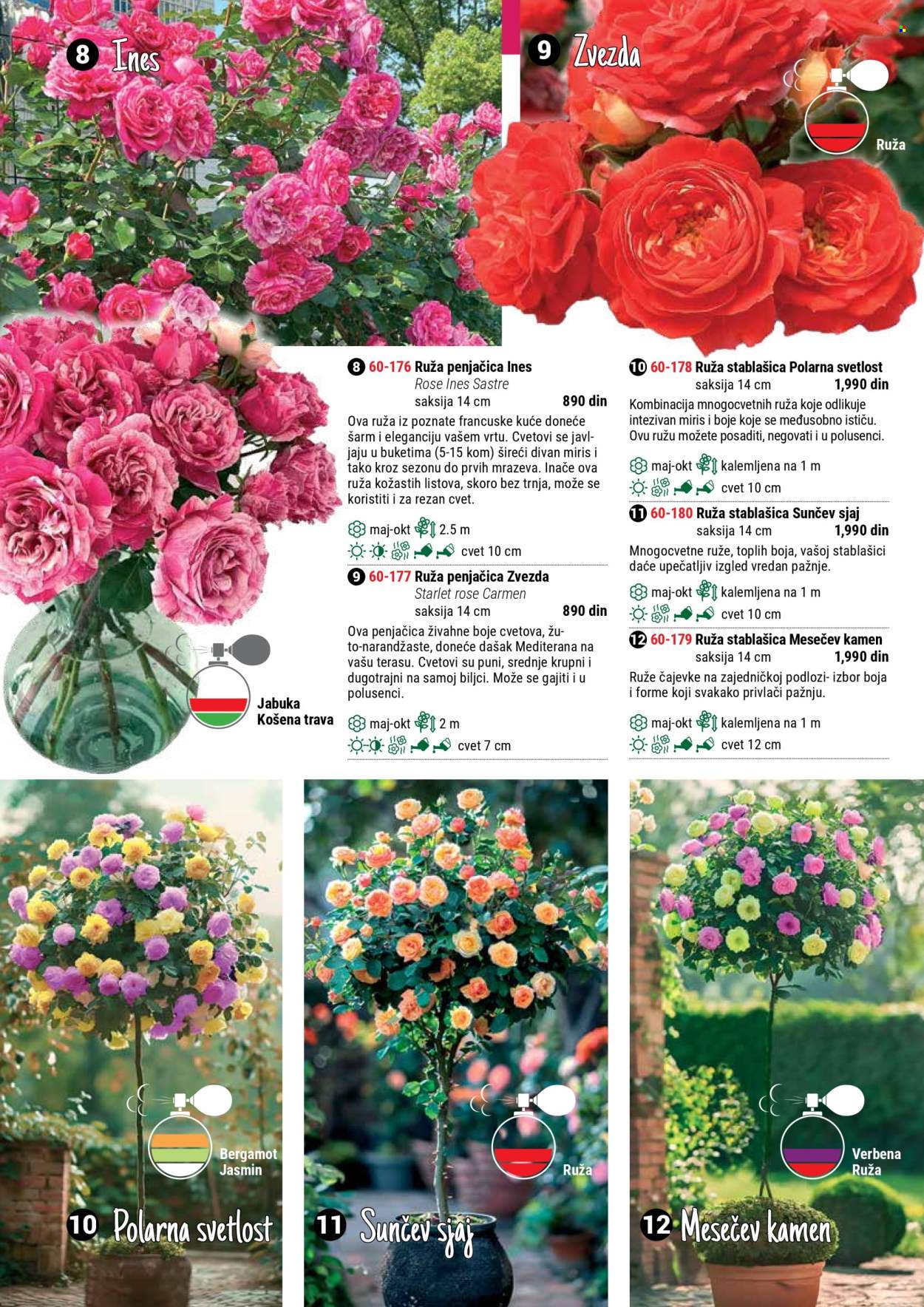 Flora Ekspres katalog. Stranica 1