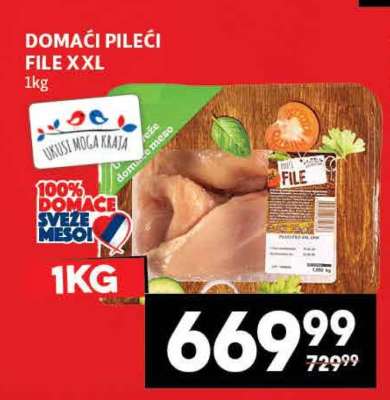 DOMAĆI PILEĆI FILE XXL