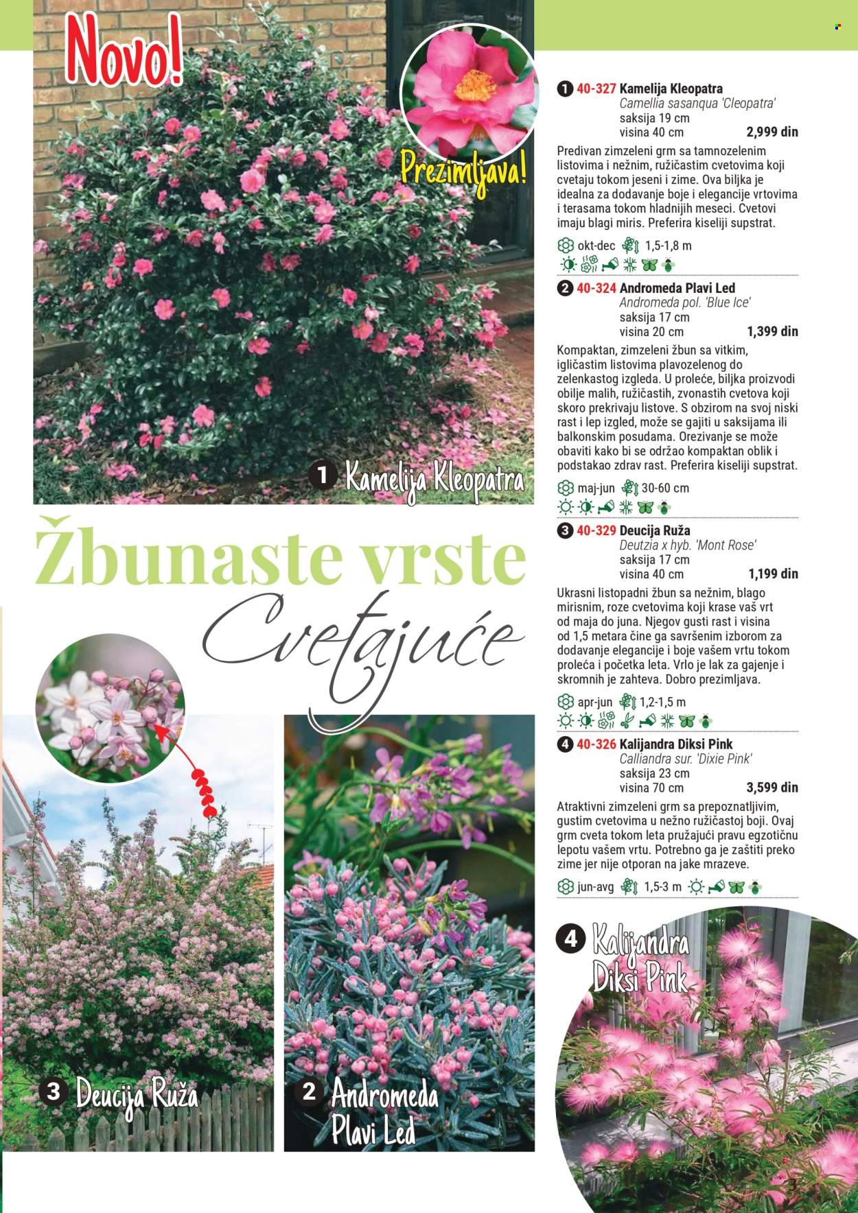 Flora Ekspres katalog. Stranica 1