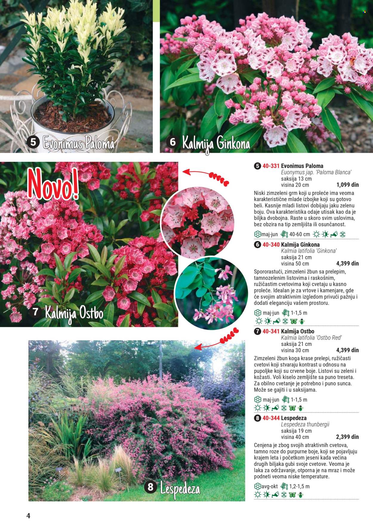 Flora Ekspres katalog. Stranica 1