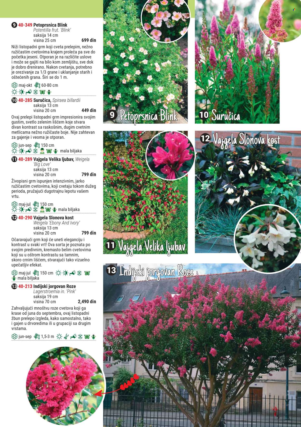 Flora Ekspres katalog. Stranica 1