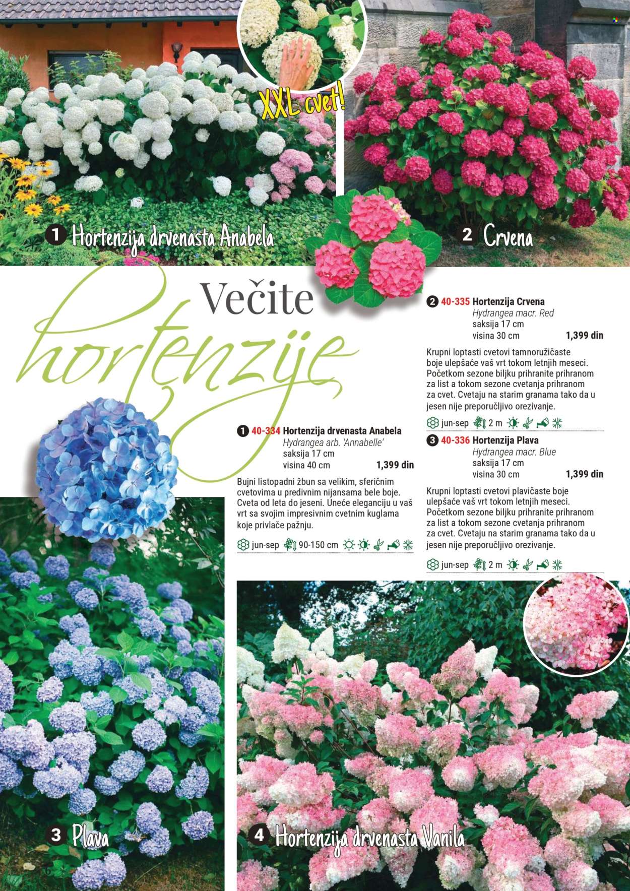 Flora Ekspres katalog. Stranica 1