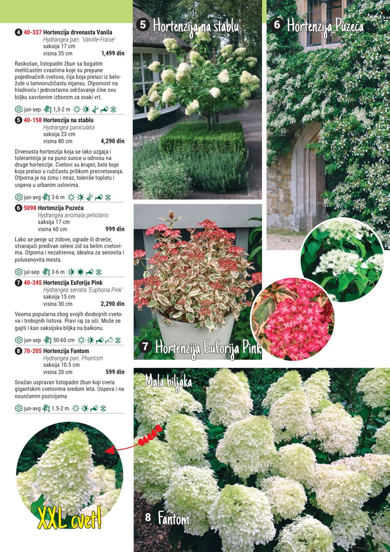 Flora Ekspres katalog. Stranica 1