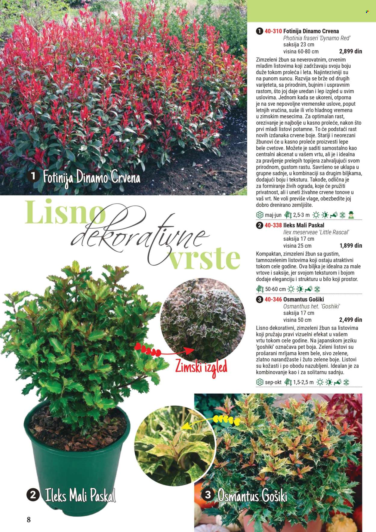 Flora Ekspres katalog. Stranica 1