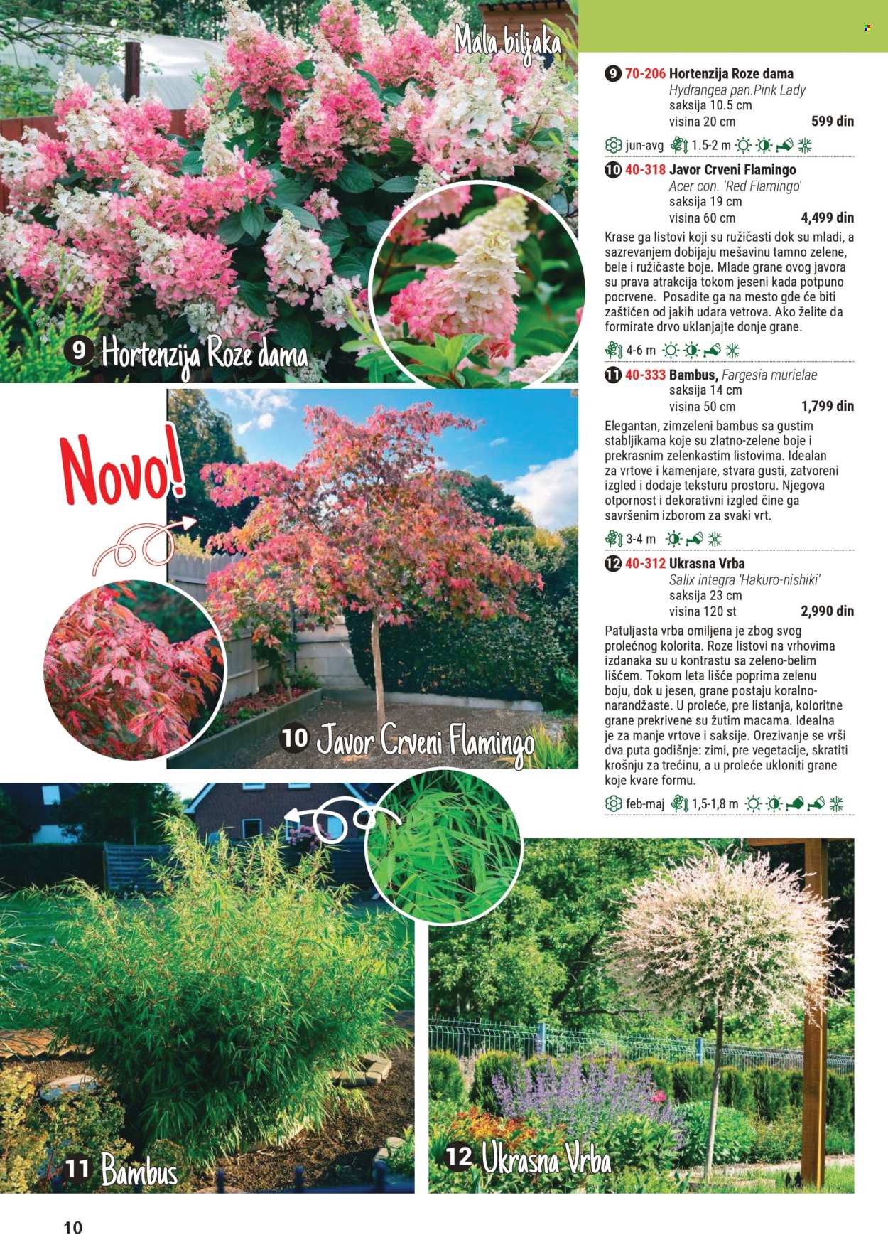 Flora Ekspres katalog. Stranica 1