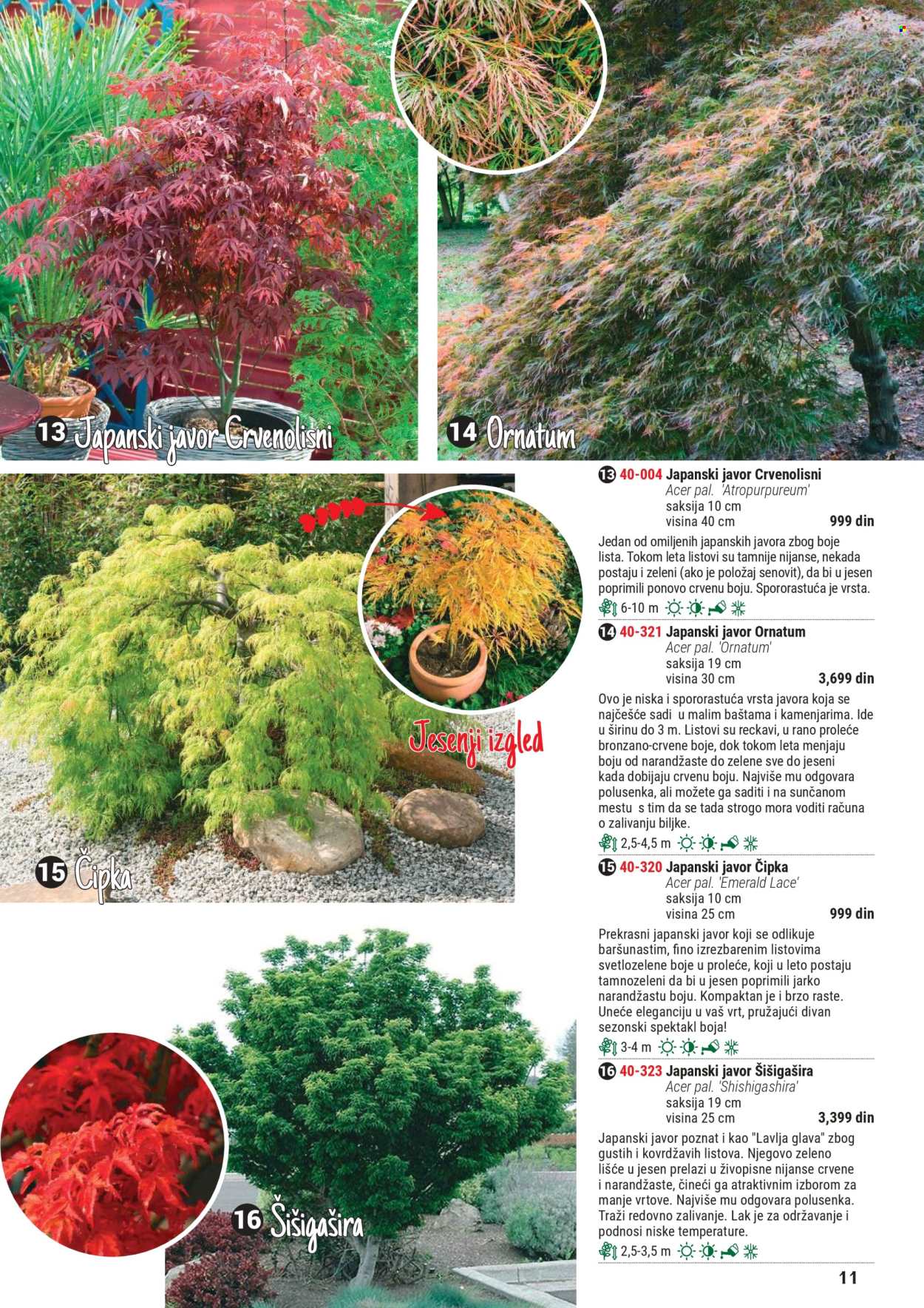 Flora Ekspres katalog. Stranica 1