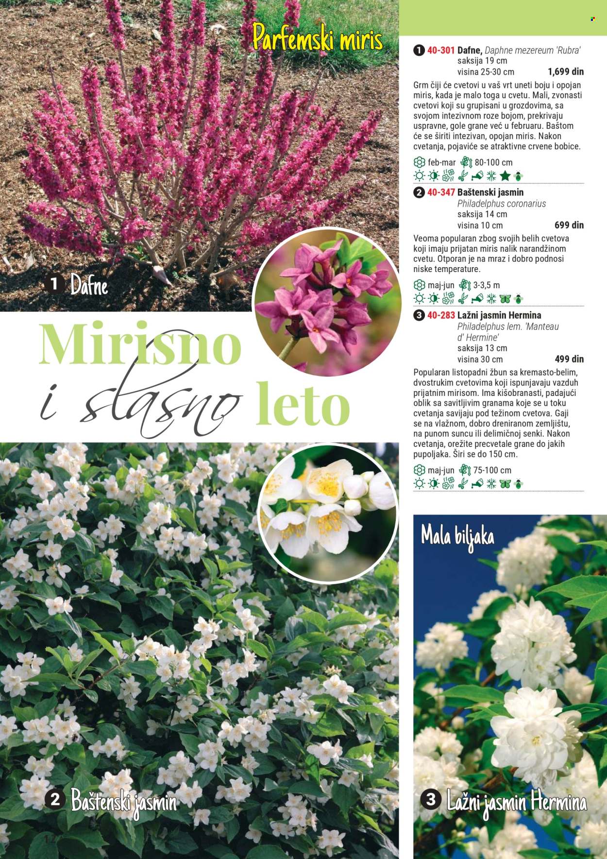 Flora Ekspres katalog. Stranica 1