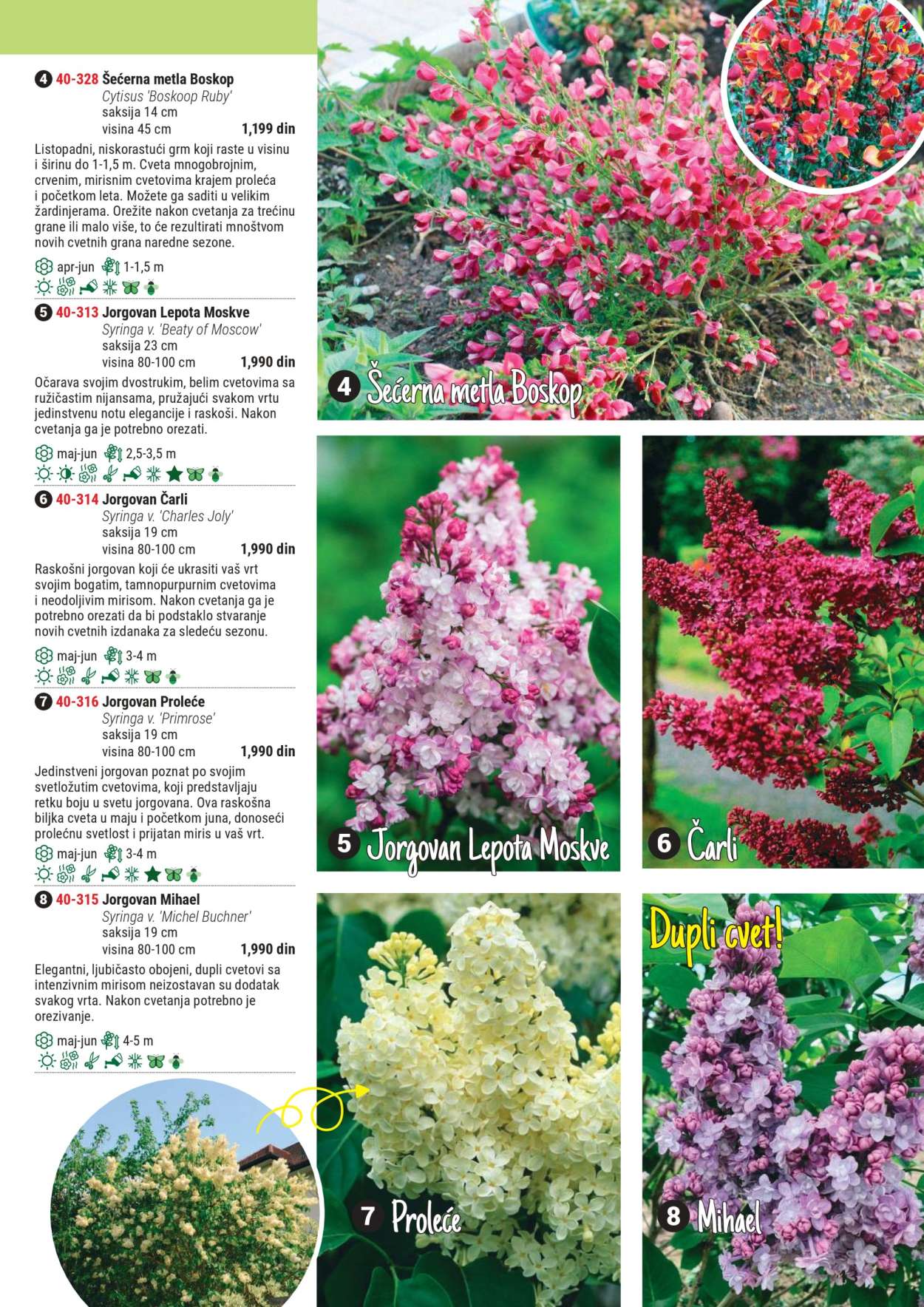 Flora Ekspres katalog. Stranica 1