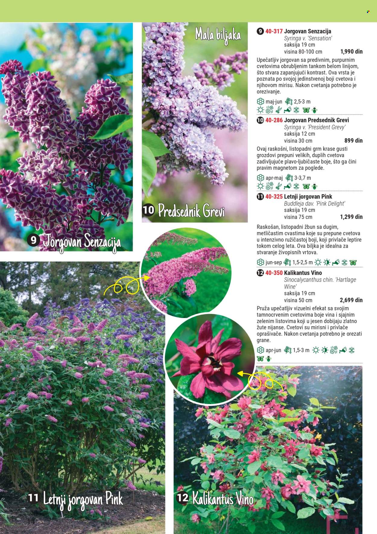 Flora Ekspres katalog. Stranica 1