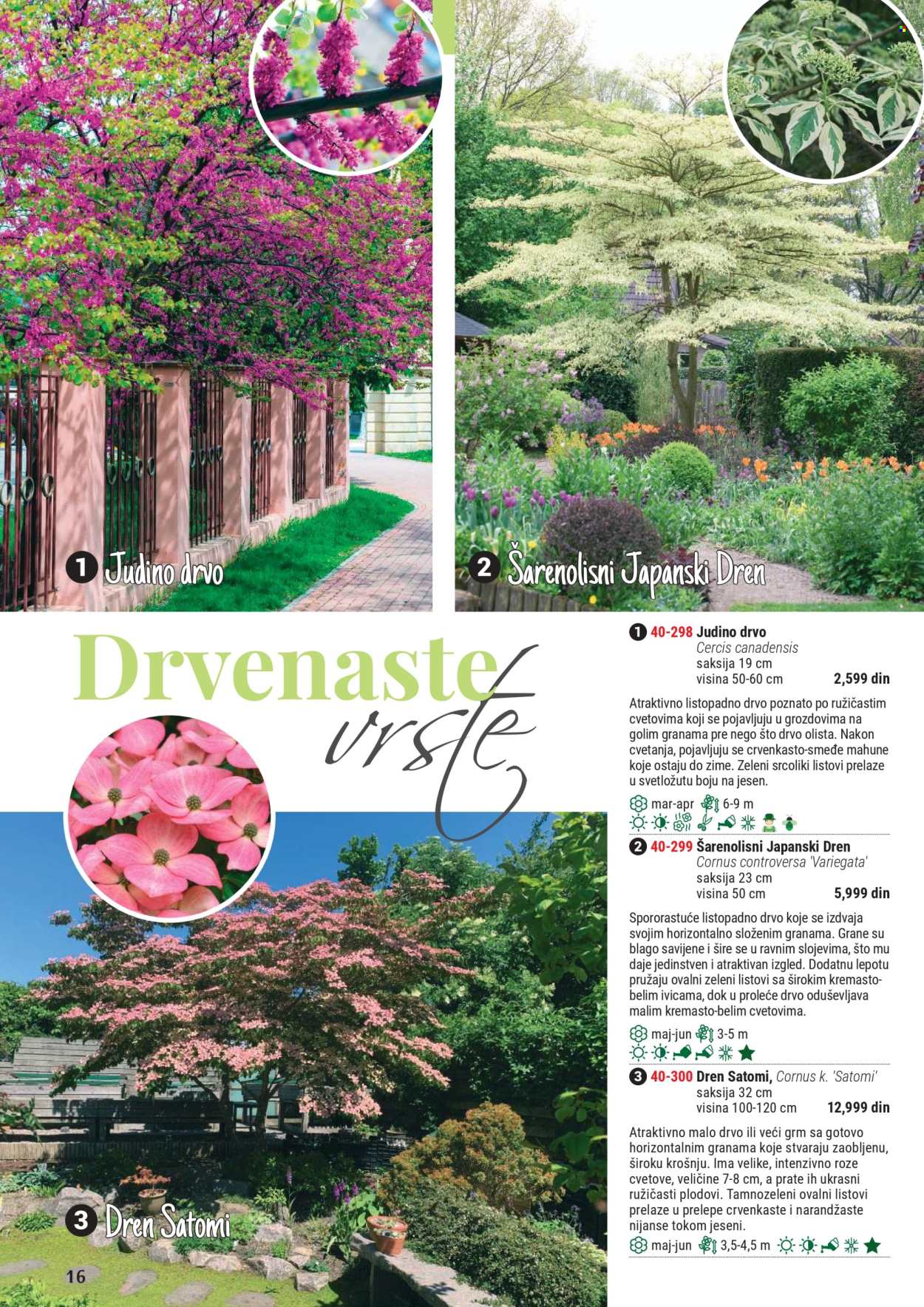 Flora Ekspres katalog. Stranica 1