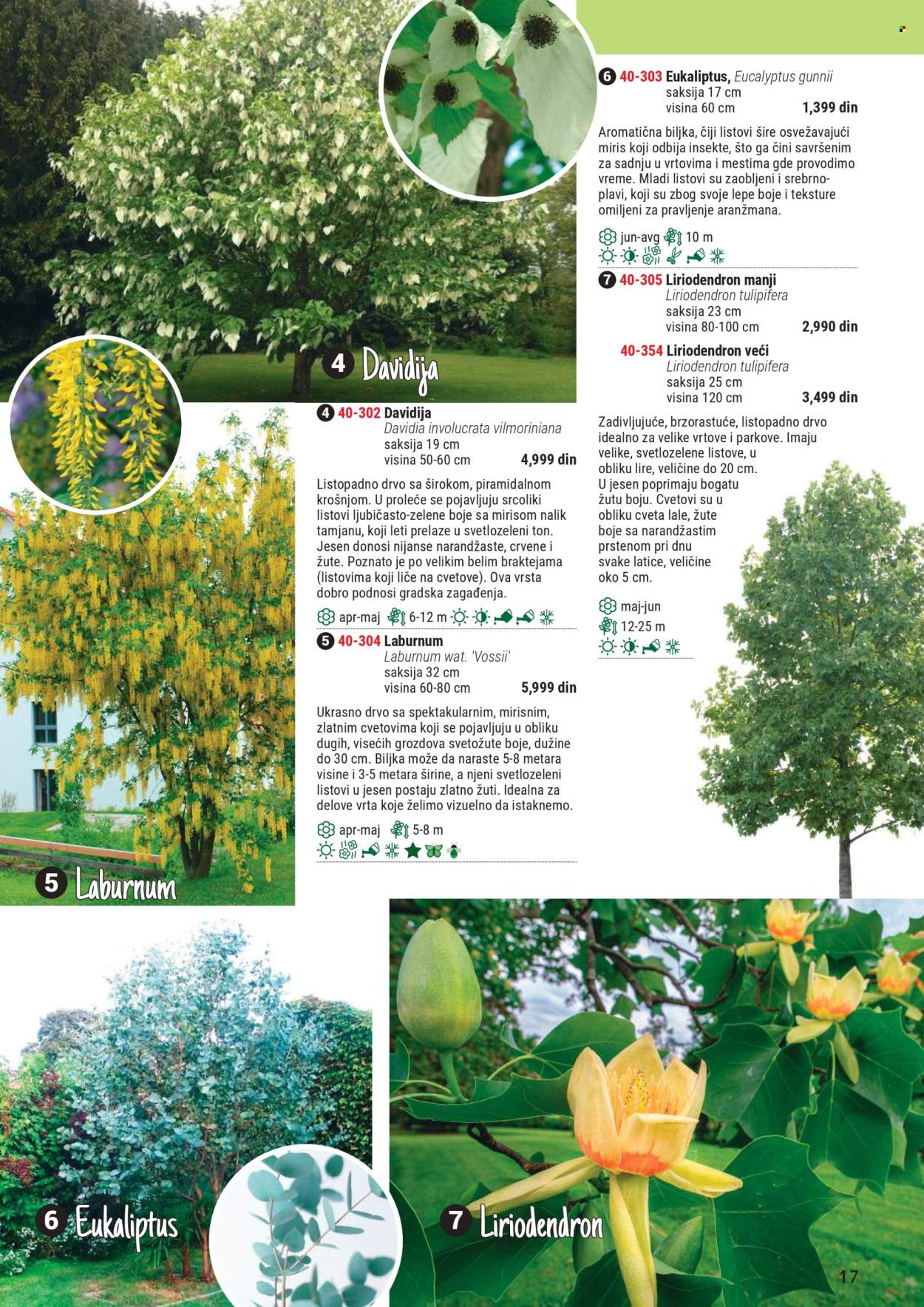 Flora Ekspres katalog. Stranica 1