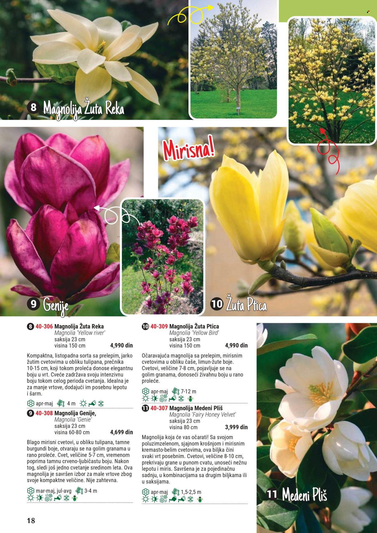 Flora Ekspres katalog. Stranica 1