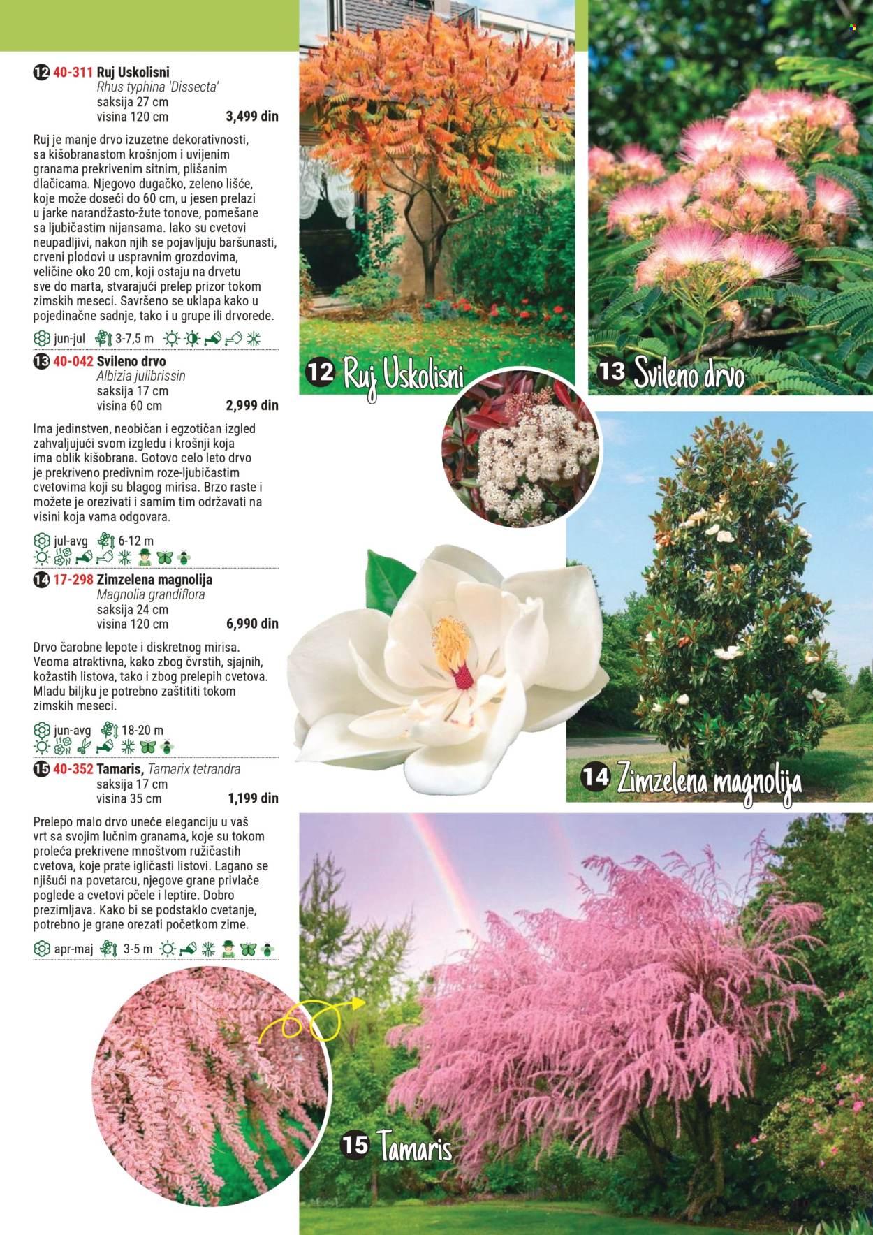 Flora Ekspres katalog. Stranica 1
