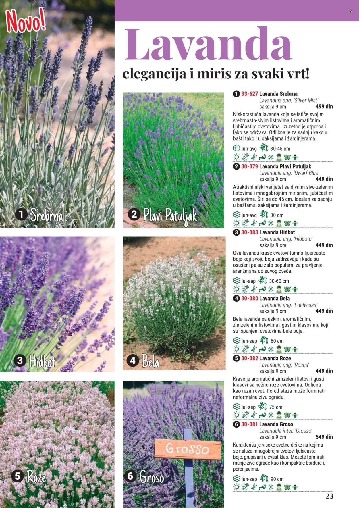 Flora Ekspres katalog. Stranica 1