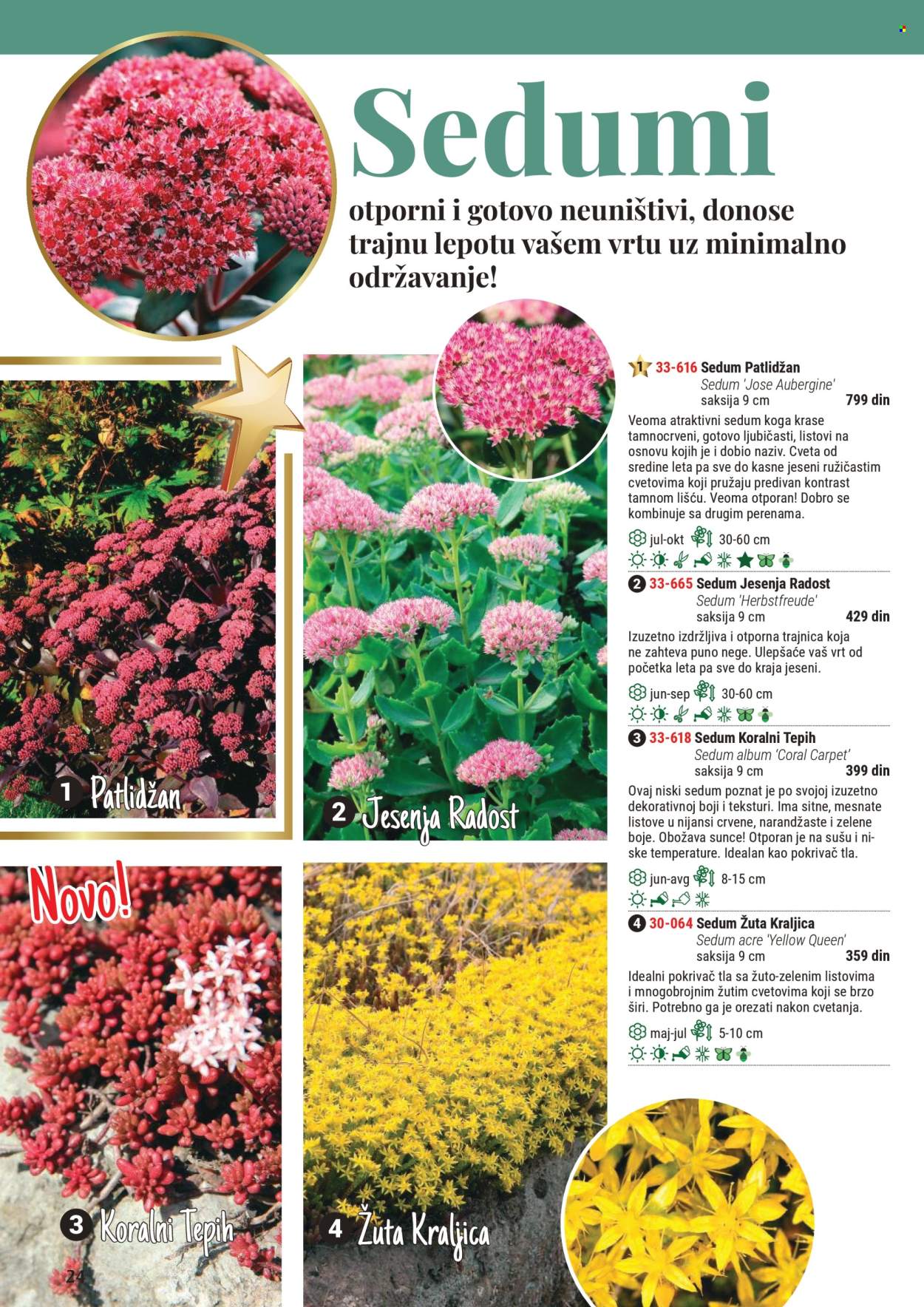 Flora Ekspres katalog. Stranica 1