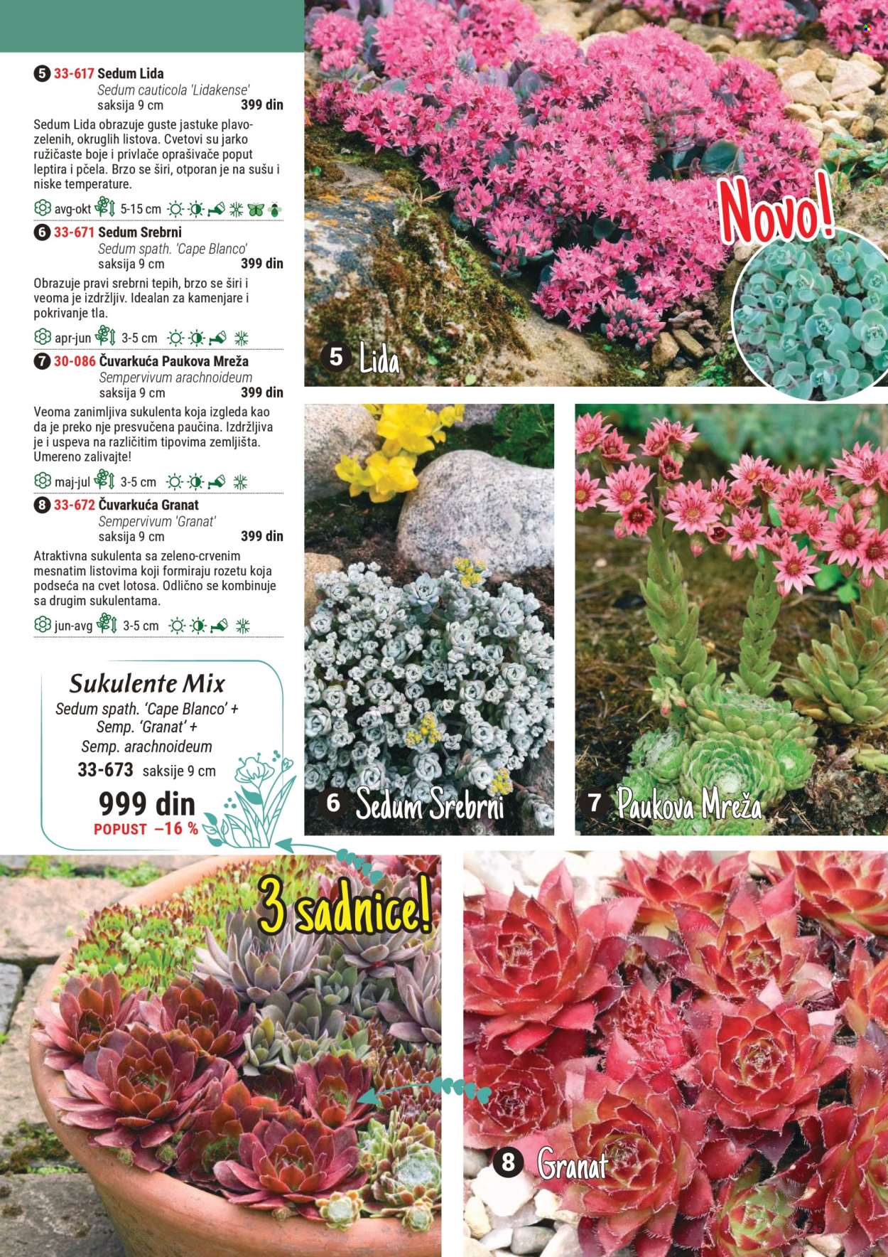 Flora Ekspres katalog. Stranica 1