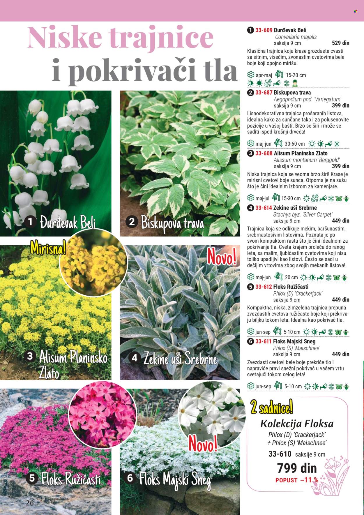 Flora Ekspres katalog. Stranica 1