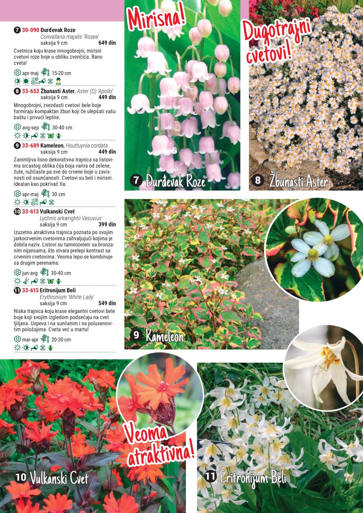 Flora Ekspres katalog. Stranica 1