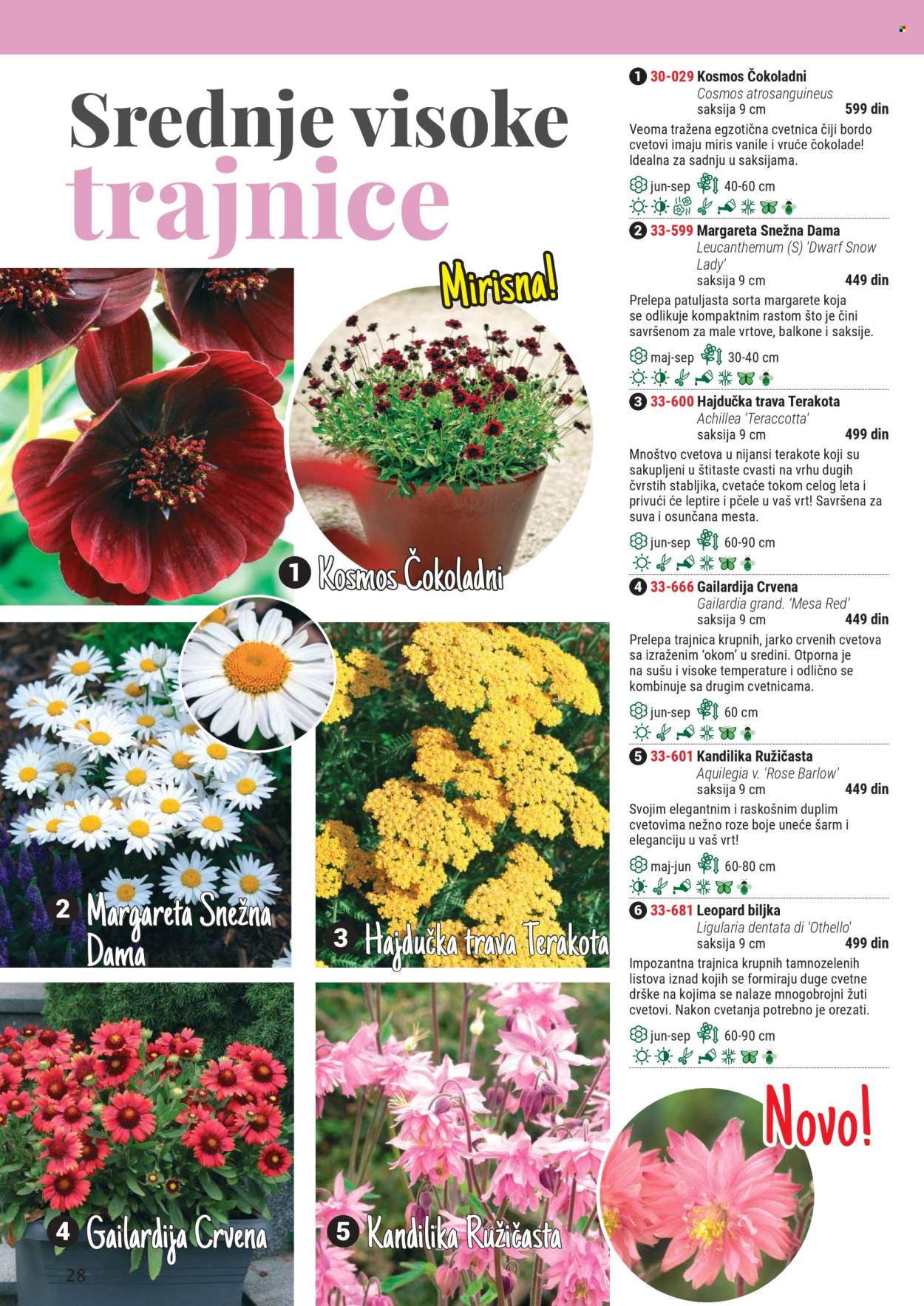 Flora Ekspres katalog. Stranica 1