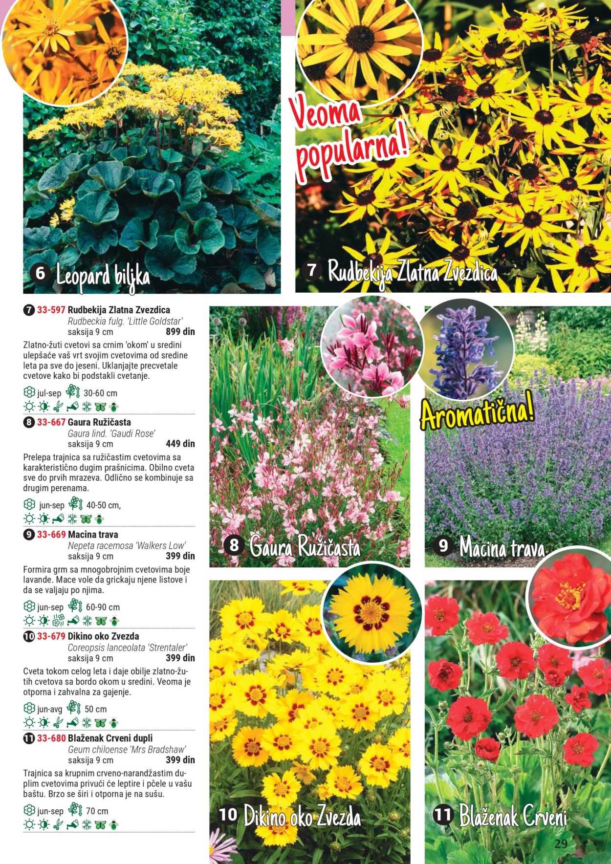 Flora Ekspres katalog. Stranica 1