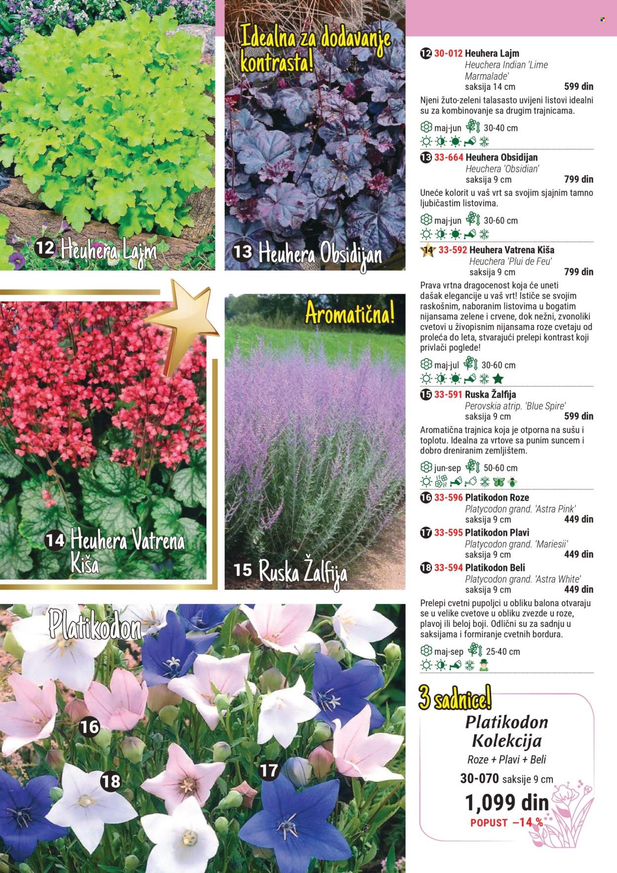 Flora Ekspres katalog. Stranica 1