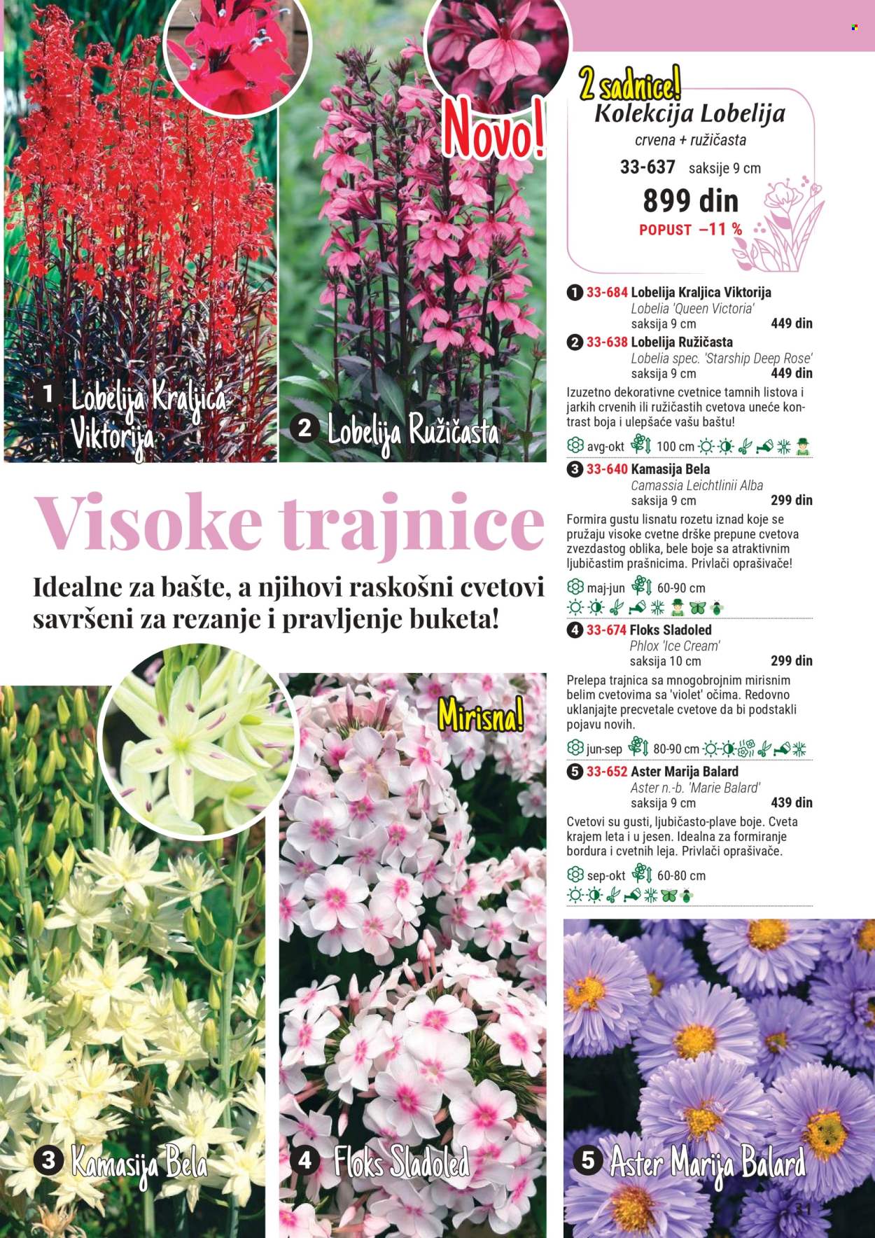 Flora Ekspres katalog. Stranica 1