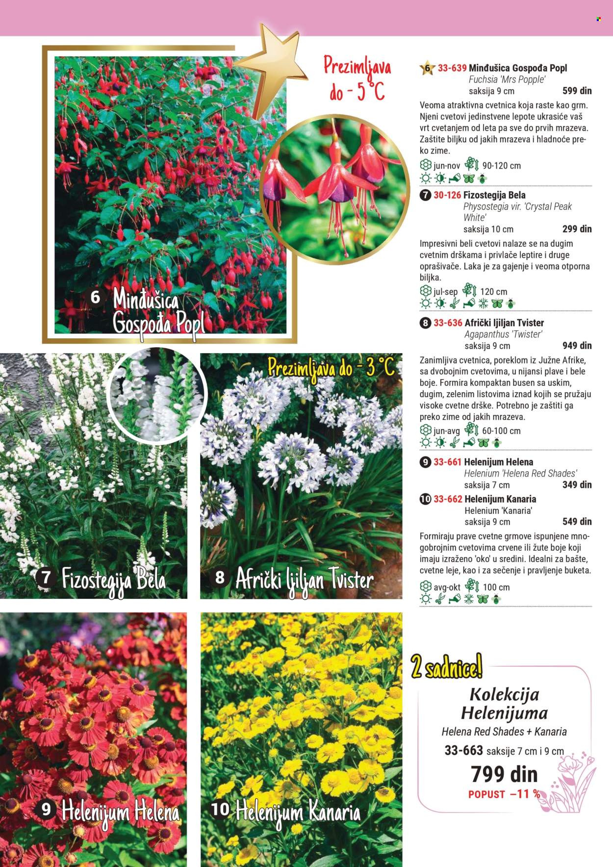Flora Ekspres katalog. Stranica 1