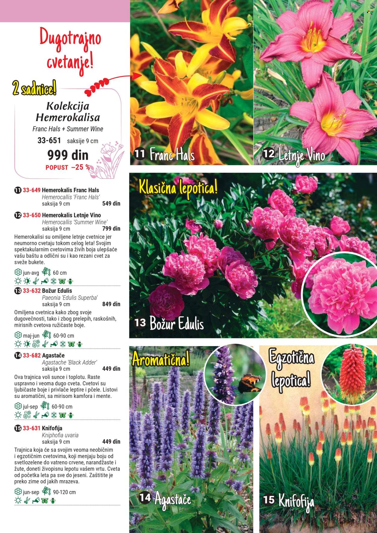 Flora Ekspres katalog. Stranica 1