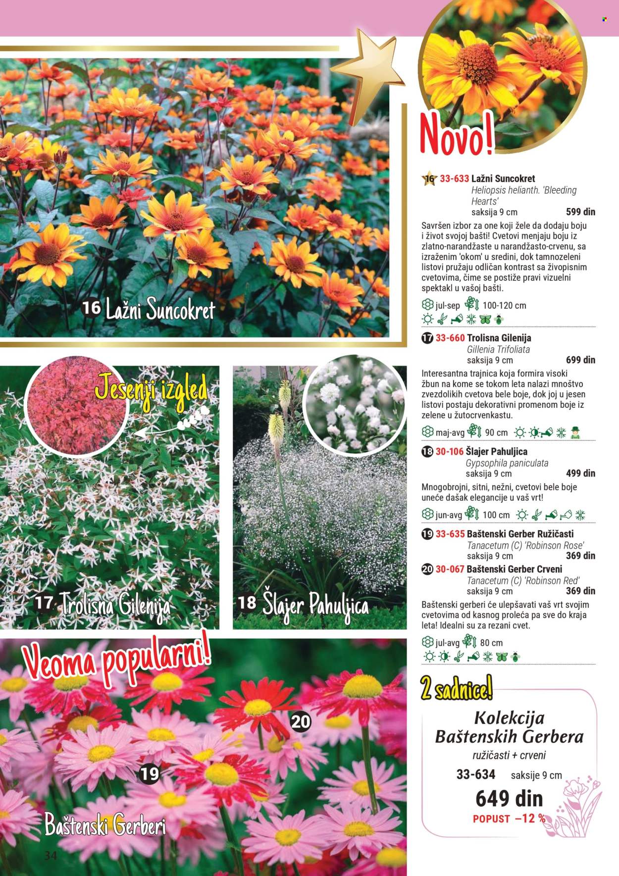 Flora Ekspres katalog. Stranica 1