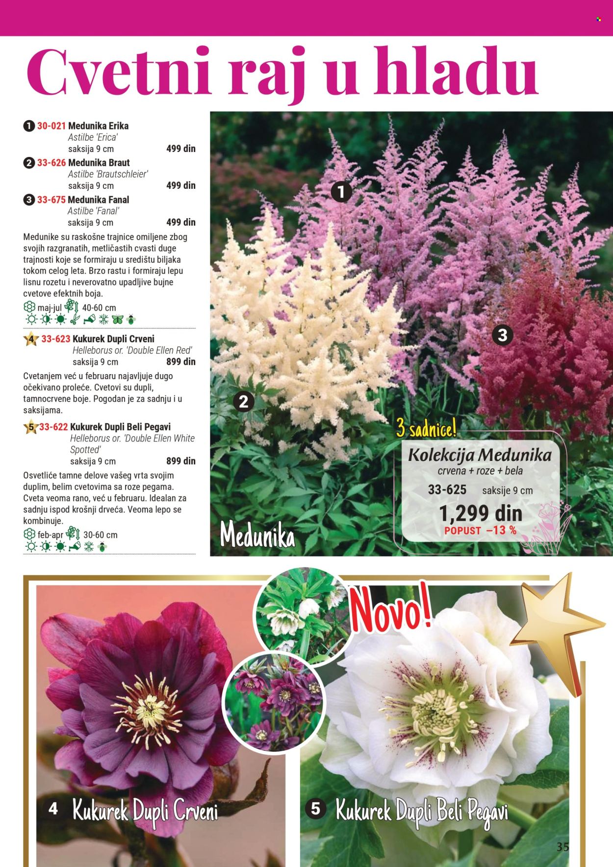 Flora Ekspres katalog. Stranica 1