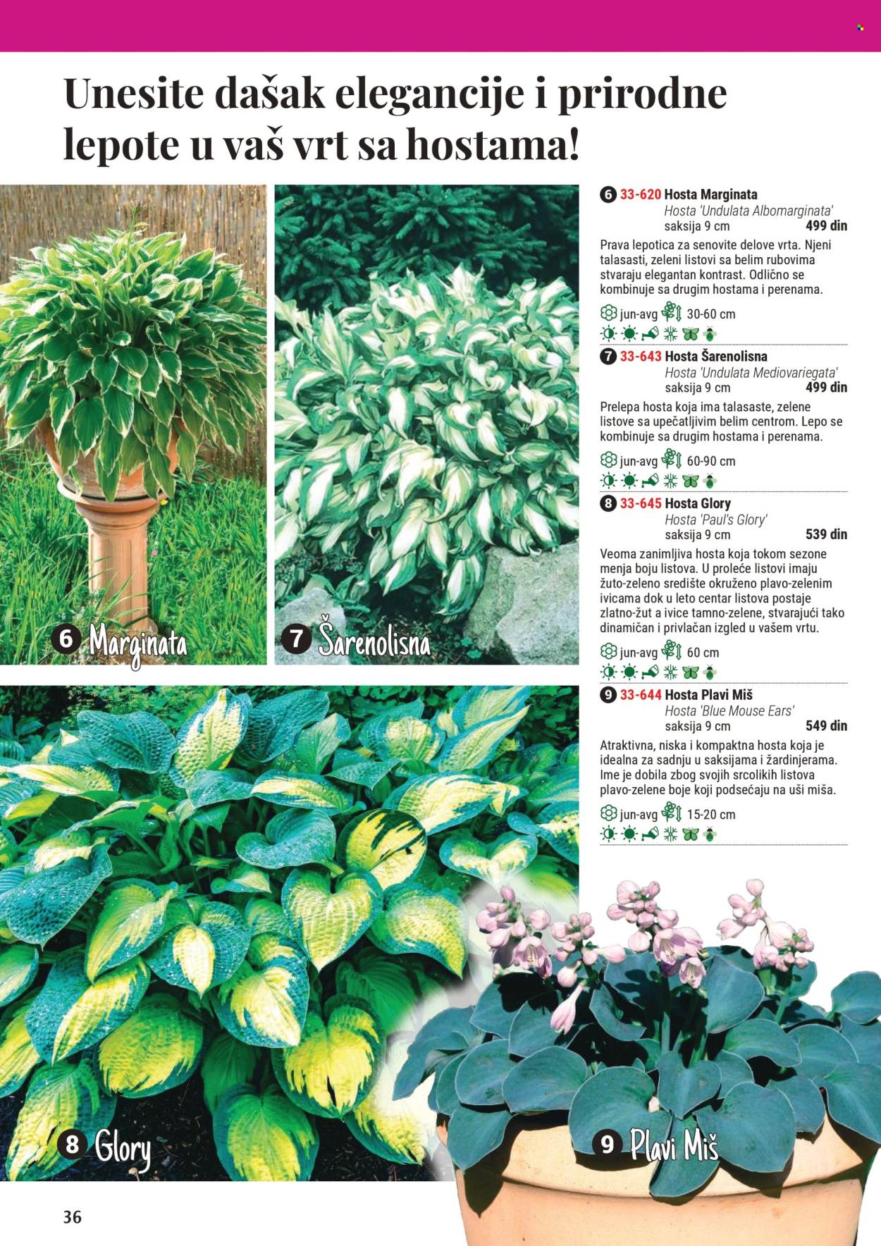Flora Ekspres katalog. Stranica 1