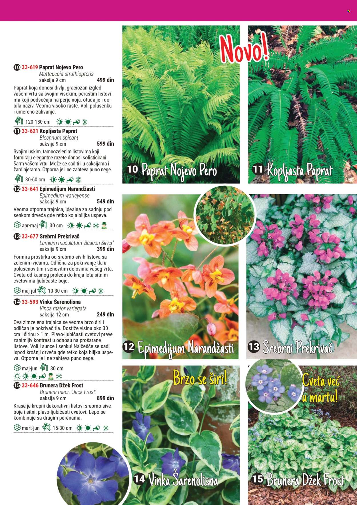 Flora Ekspres katalog. Stranica 1
