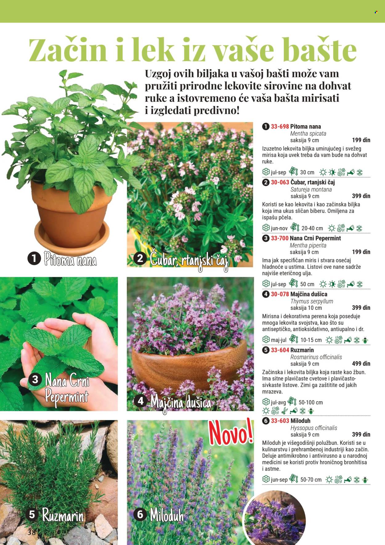 Flora Ekspres katalog. Stranica 1
