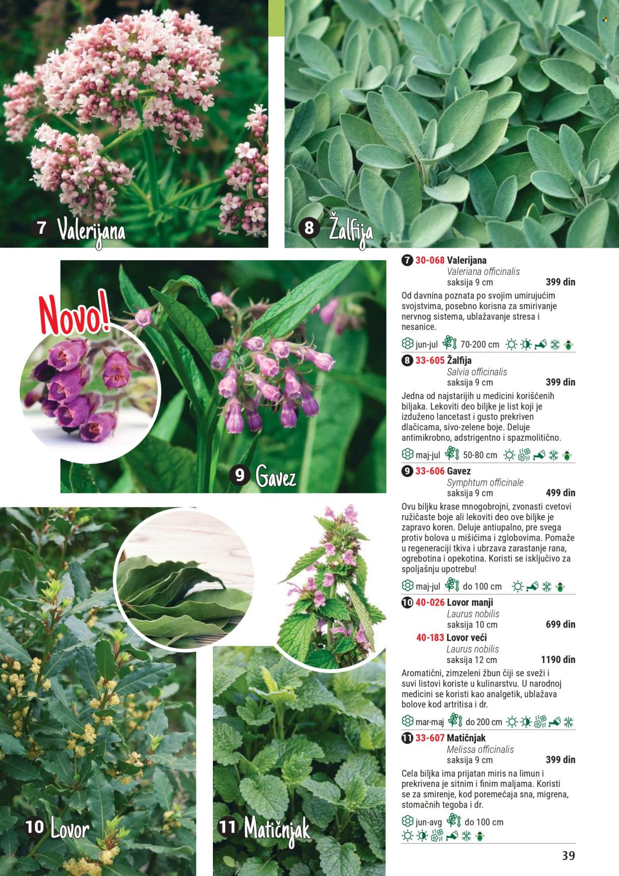Flora Ekspres katalog. Stranica 1