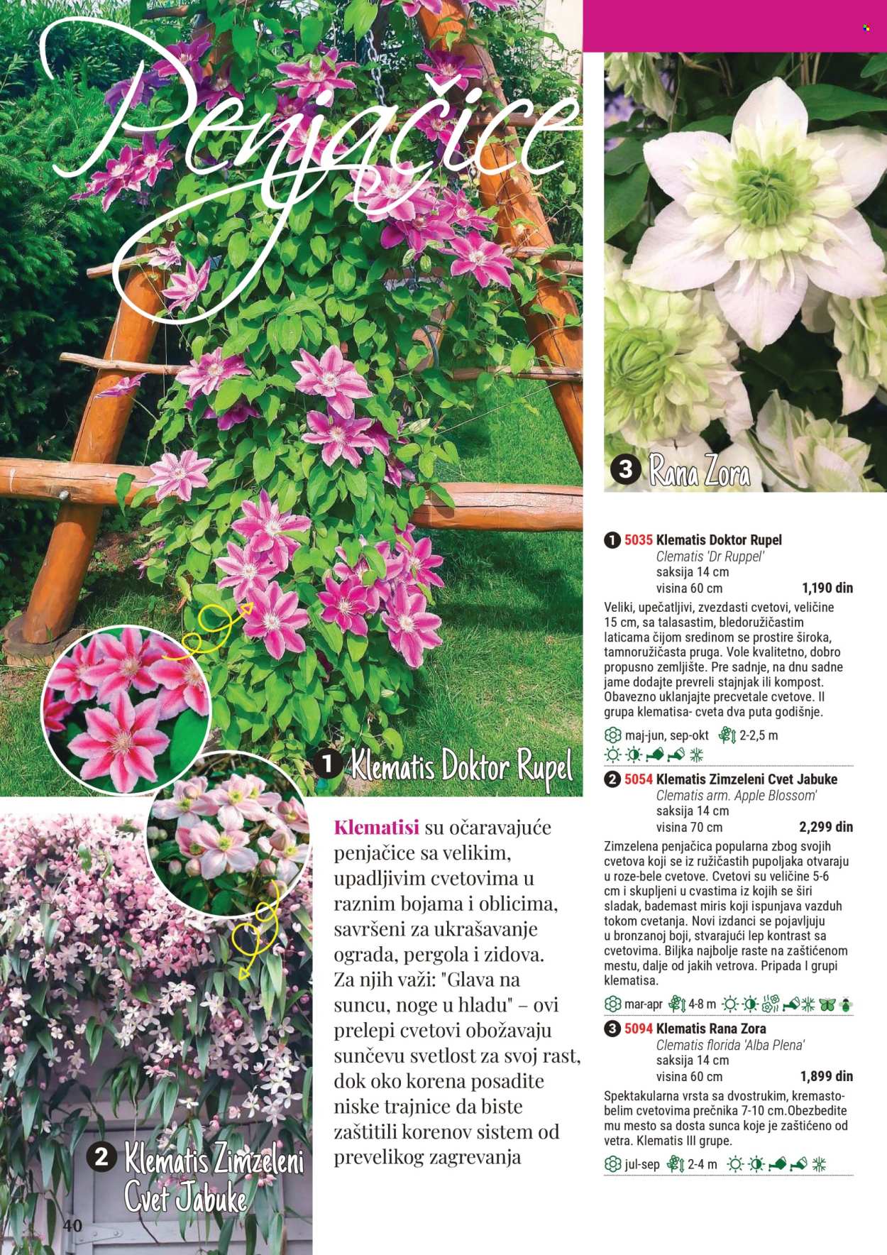 Flora Ekspres katalog. Stranica 1