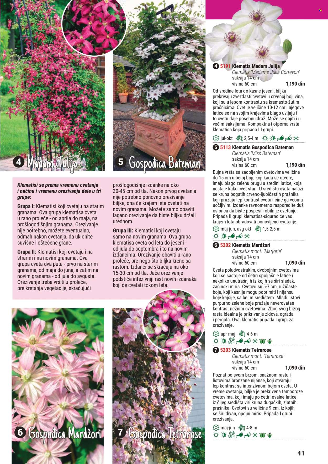 Flora Ekspres katalog. Stranica 1