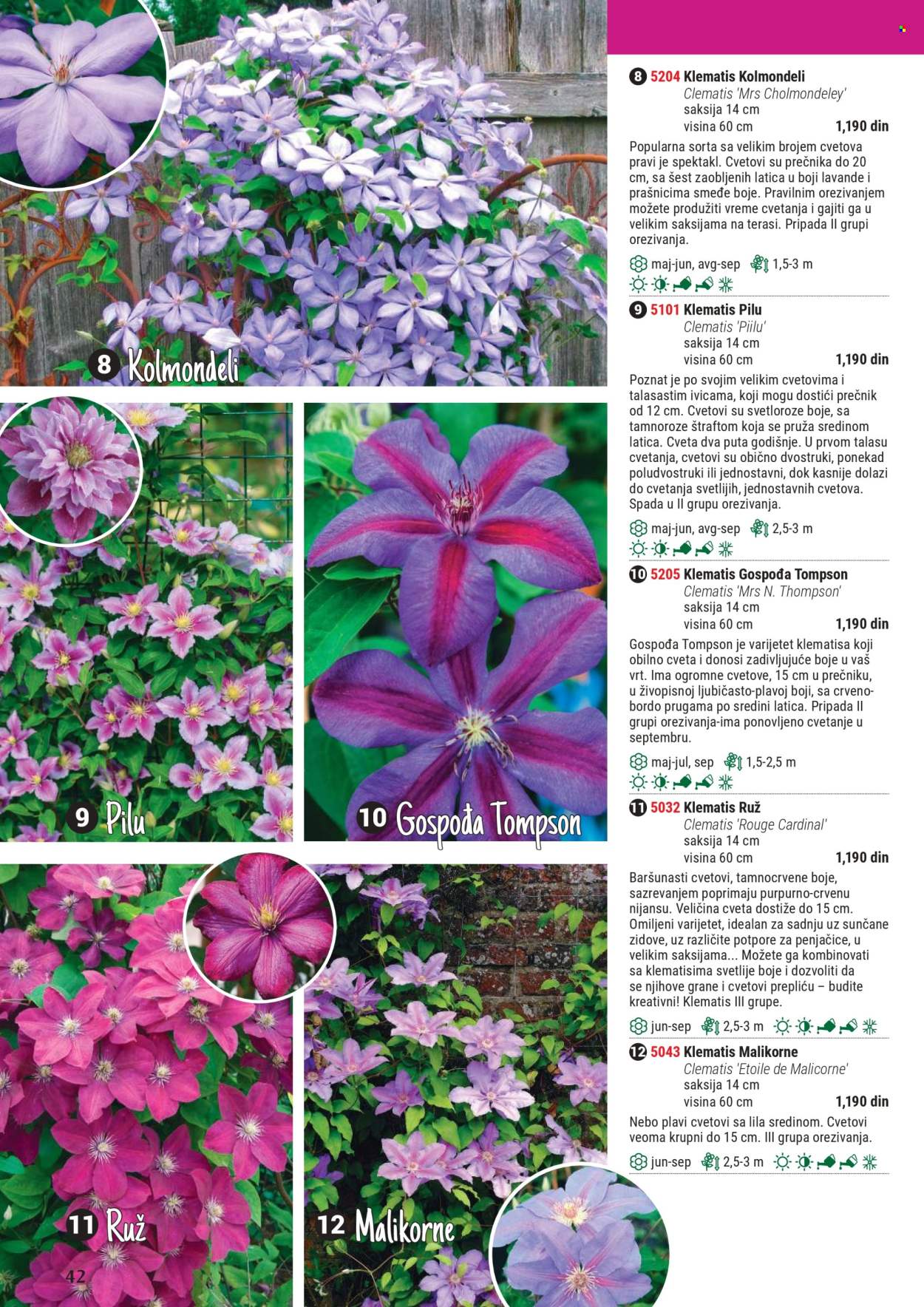 Flora Ekspres katalog. Stranica 1