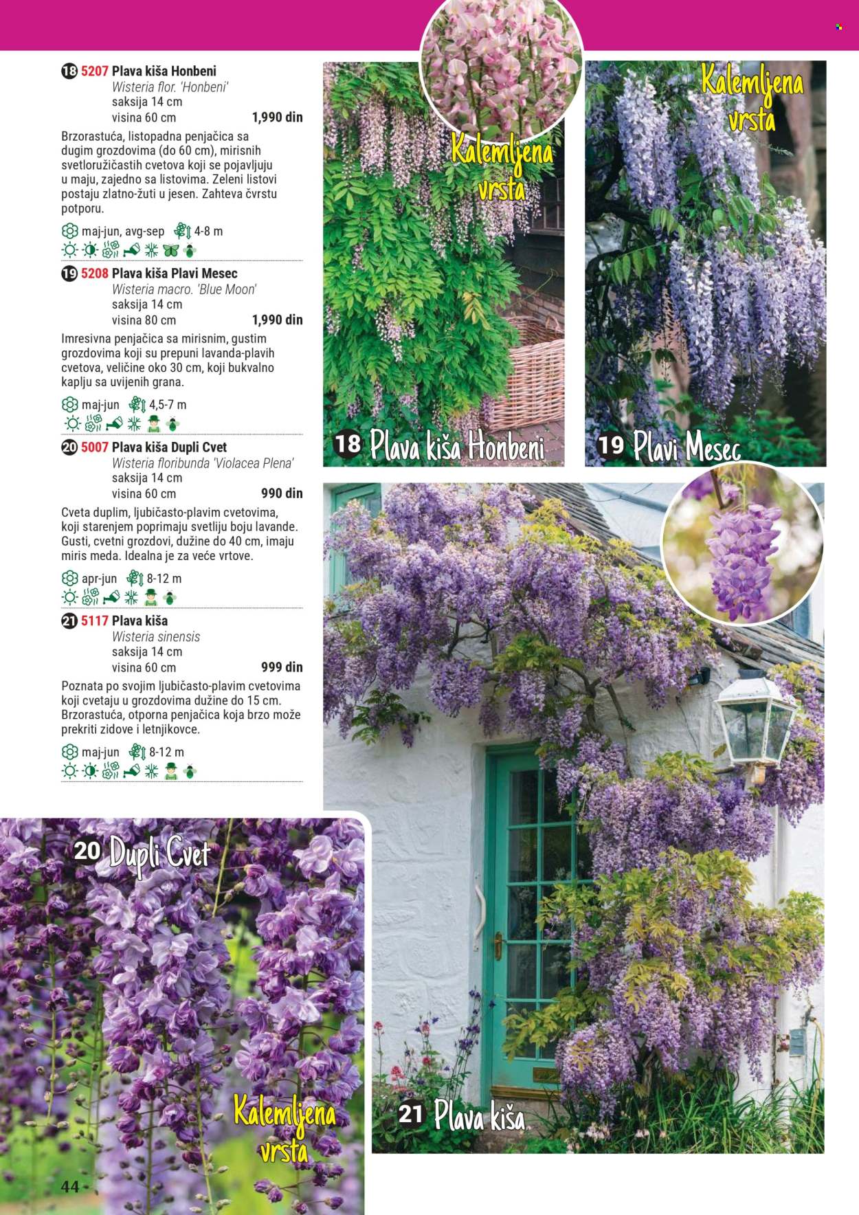 Flora Ekspres katalog. Stranica 1