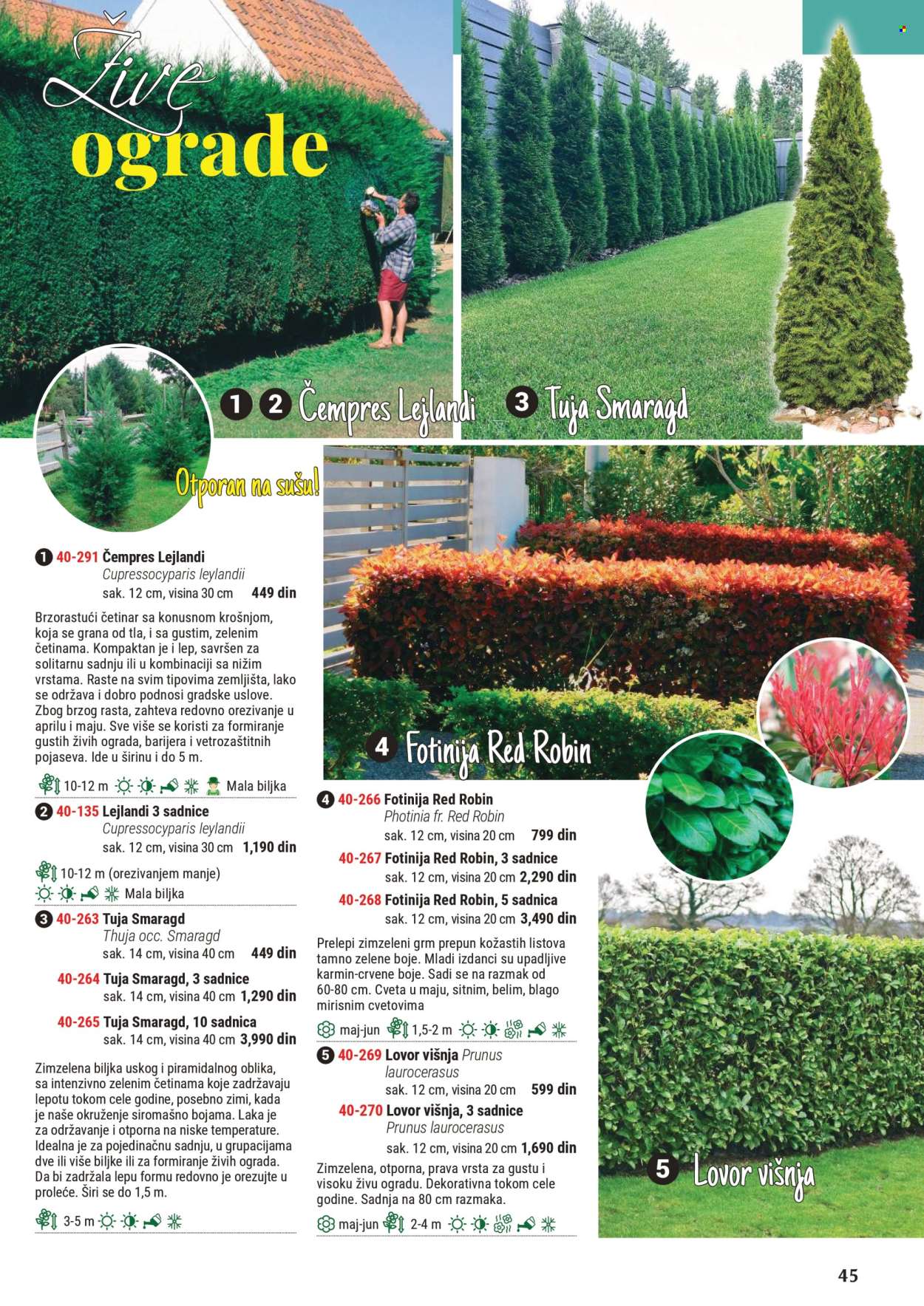 Flora Ekspres katalog. Stranica 1