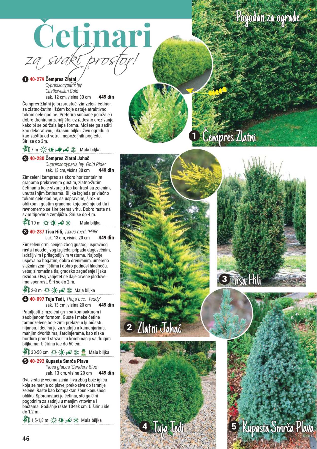 Flora Ekspres katalog. Stranica 1